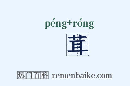 鬅茸是什么意思的图片